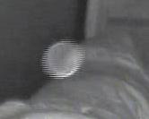 Click for larger View!