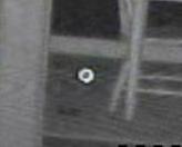 Click for larger View!